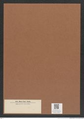 Diatomeae indet. Zeichnungen Sammlung Grunow Mappe 04365 (Herbarium_W_Grunow_drawings_Folder_04365)